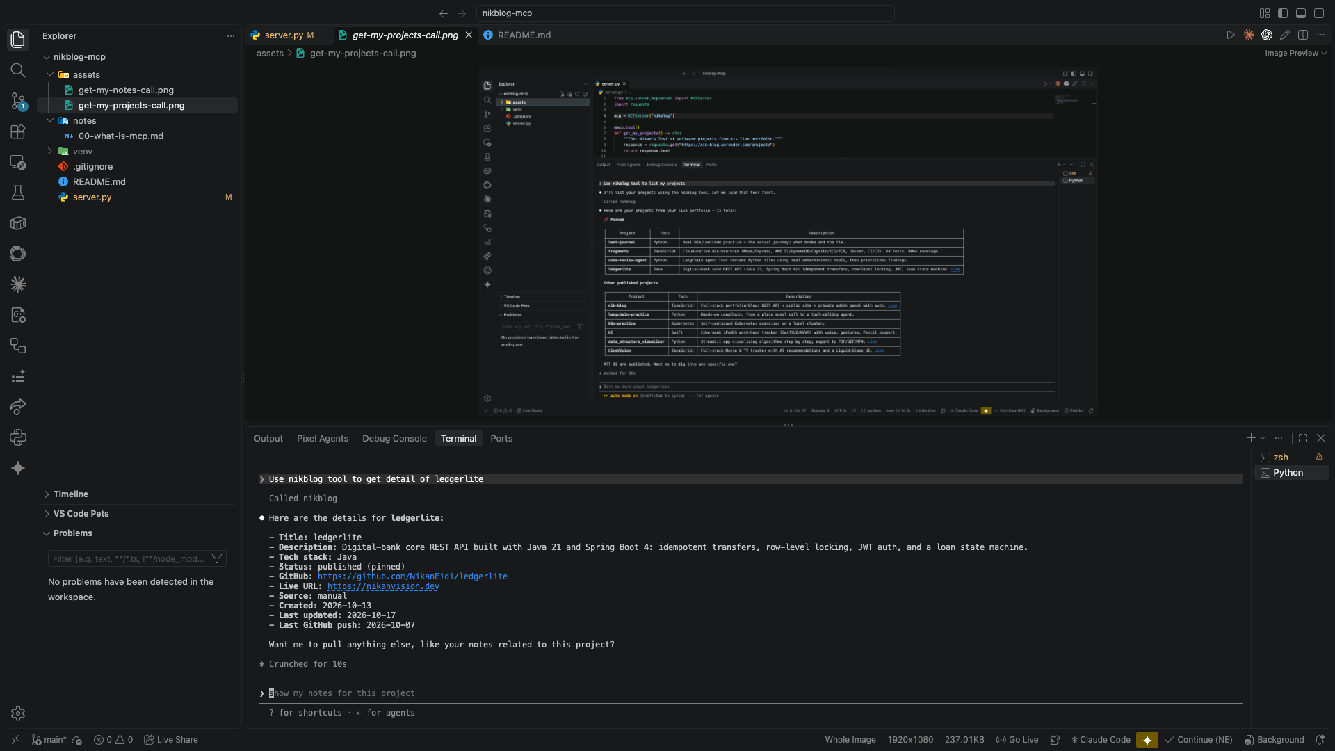 get_project_by_slug tool call